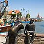 Neuharlingersiel ist ein im Nordsee-Urlaub beliebtes Fischerdorf in Ostfriesland.